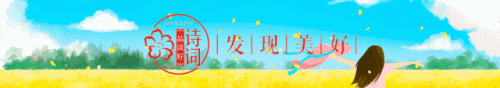 知了图片(知了的功效与作用)插图