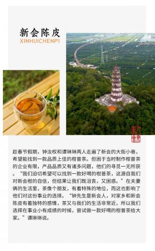 进口陈皮牌子排名前十(陈皮最好的品牌)插图6