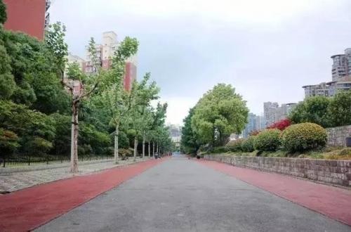 上海划船景区排名前十(上海划船的公园哪个比较好)插图5