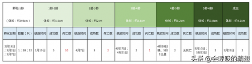 2022螳螂出装(螳螂铭文)插图1