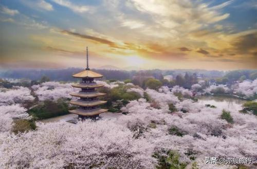 武汉近郊景点排名前十(景点排名)插图4