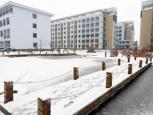 营口普高学校排名前十(营口卫生学校)插图30