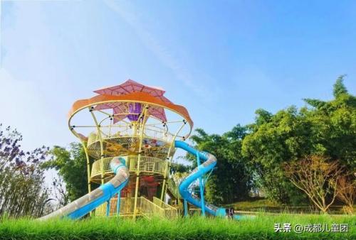 幼儿培训学校排名前十(幼儿园的孩子报什么培训班好)插图45
