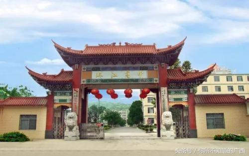 河池高中排名前十(广西十大重点高中)插图2