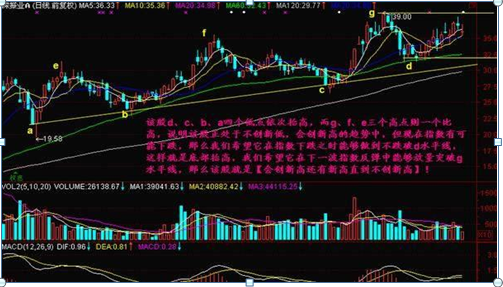 圣域魔都魅影代码(圣域2魔都魅影手游)插图9