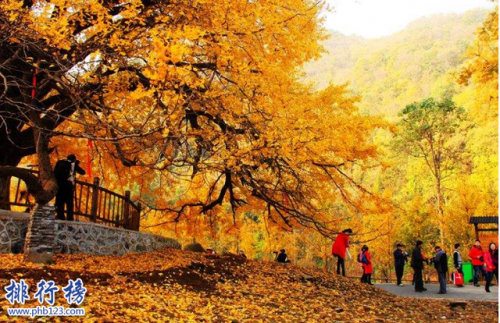 武汉旅游画廊排名前十(全球知名画廊)插图7