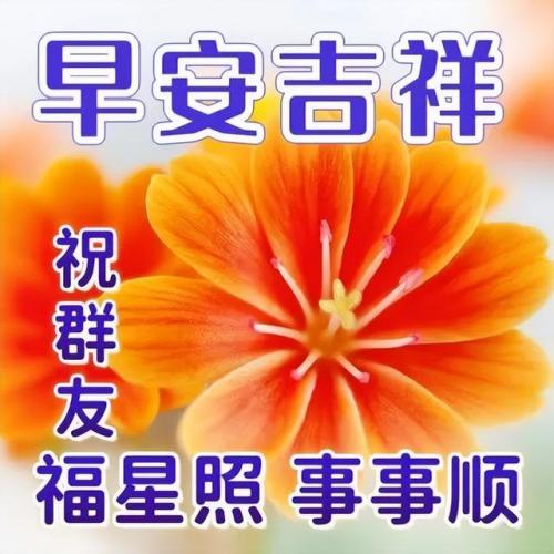 快乐相伴(快乐相伴微信名好吗)插图7
