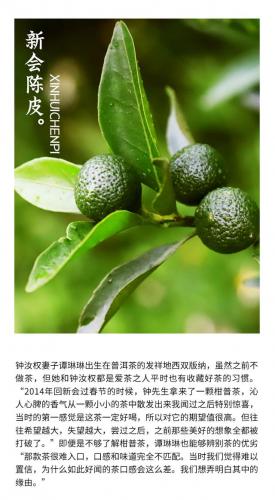 进口陈皮牌子排名前十(陈皮最好的品牌)插图5