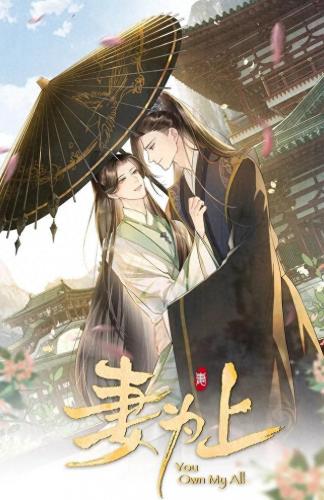 妻为上 绿野千鹤(绿野千鹤小说全集)插图