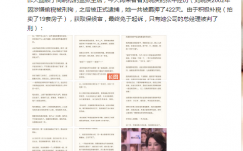 刘晓庆坐牢(迟志强)