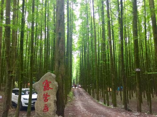重庆凉快胜地排名前十(离重庆1小时的凉快地方)插图26