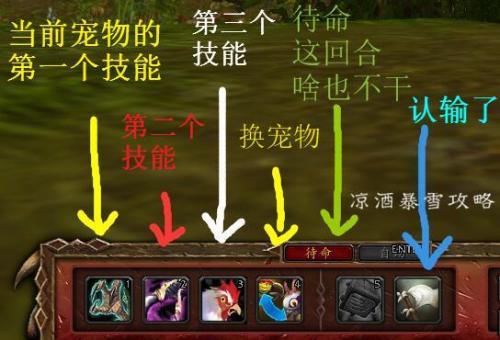 魔兽世界怎么和野外宠物对战(熊猫人之谜鸟德攻略)插图5