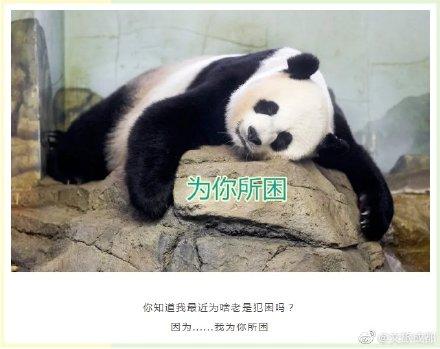 土味情话大全(撩妹500句土味情话)插图3