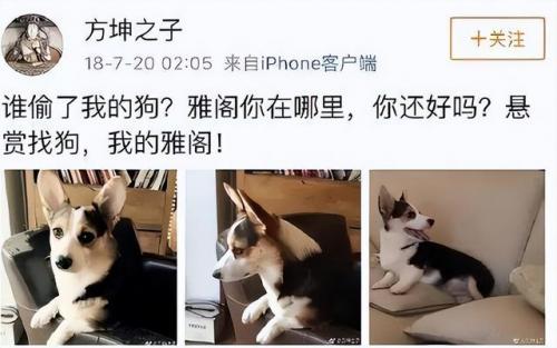 袁立华表奖(2011年红毯袁立造型)插图35