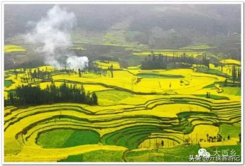 中国油菜之乡排名前十(全国油菜花开最早省市县乡)插图10