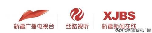 德国燃气窑炉排名前十(世界十大锅炉品牌)插图7