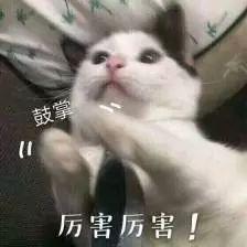 玉林初中排名前十(广西玉林最好的初中排名)插图1