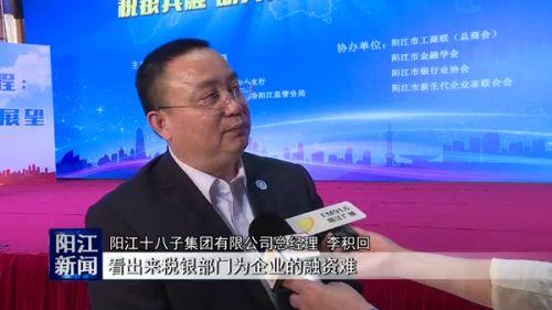 阳江财税企业排名前十(阳江市100强企业)插图2