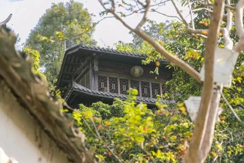 深圳最好玩的地方(深圳最值得去的地方)插图59