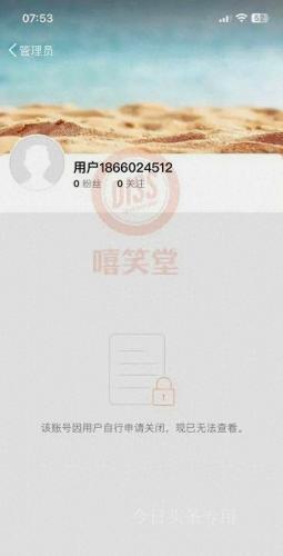 幼稚园杀手(幼稚园杀手封神之作)插图1
