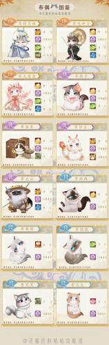 灵猫传布偶猫图鉴汇总介绍(灵猫传猫咪图鉴珍)插图1