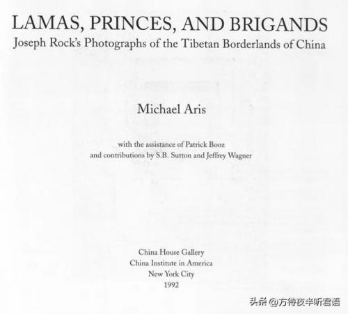 洛克王国禁忌的书房稀有宠物(50级厉害的洛克宠物)插图20