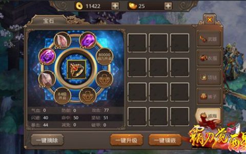 霸刀觉醒元宝如何合理使用(霸刀怎么卡无僵直)