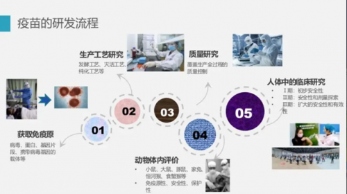 各国制造疫苗排名前十(各国出口疫苗排行)插图5
