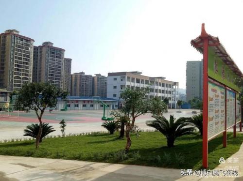博白市小学排名前十(博白初中排名一览表)插图1