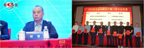 硝酸溶液厂商排名前十(硝酸铵)插图