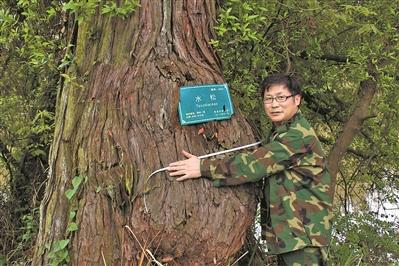 恶魔幸存者2全缘攻略(恶魔幸存者2二周目难度)插图