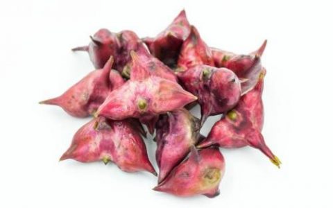 菱角图片(菱角吃了有什么好处)