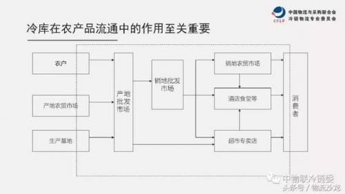 企业冷库体量排名前十(中国企业体量排行)插图1