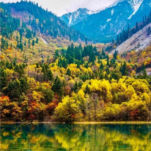 风景头像图片(风景头像图片唯美)插图33