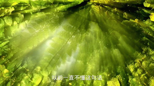 我就是世界上最伤心的人(歌曲世界上最伤心的人)插图1