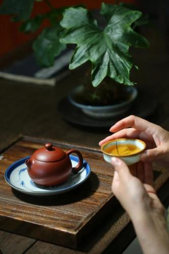 烧水茶壶品种排名前十(烧水壶排名前十名品牌)插图3