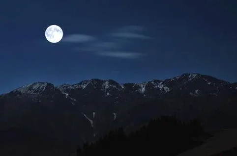 月移花影动(人与白云栖月照花影移的意思)插图18
