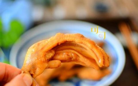 冷冻鸭脚品牌排名前十(冷冻鸡翅十大品牌)