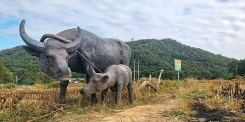 九江景点(九江49处免费景点)插图30