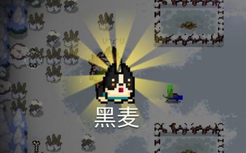 元气骑士隐藏宠物获取方式(元气骑士最新版)