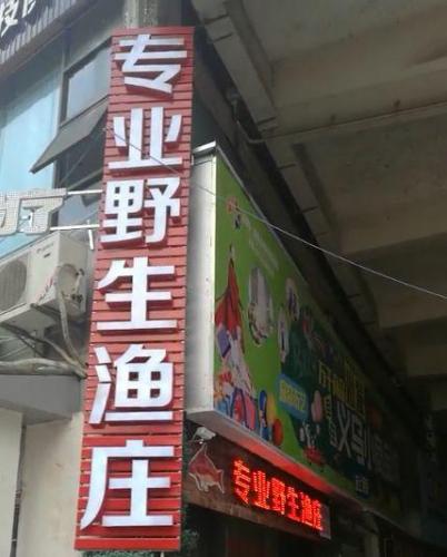 广州涪陵饭店排名前十(涪陵好吃的馆子)插图9