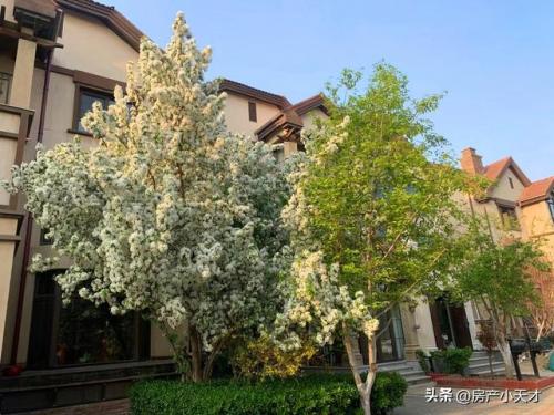 北京石材小区排名前十(北京高端小区都有哪些)插图78
