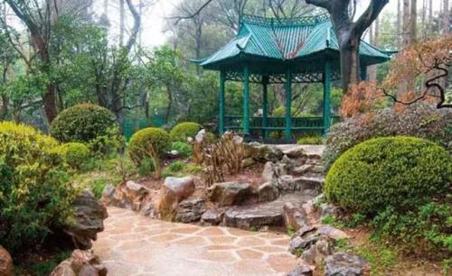 上海划船景区排名前十(上海划船的公园哪个比较好)插图27