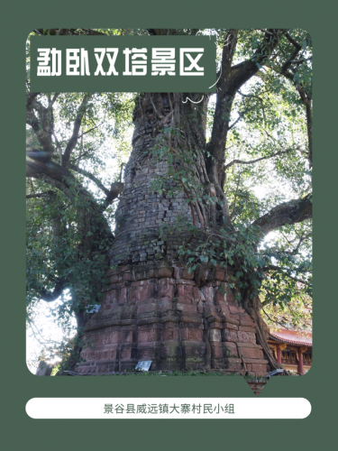 普洱旅游(普洱旅游攻略)插图11