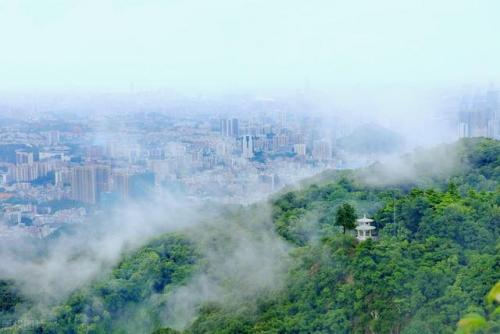 广东旅游必去十大景点(广东2-3天短途亲子游)插图3
