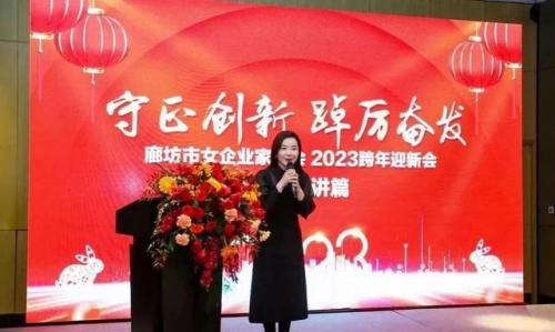 廊坊女首富排名前十(廊坊落垡首富是谁)插图12
