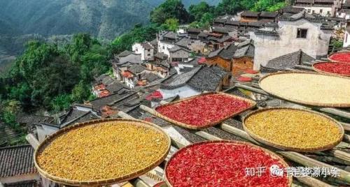 婺源油菜花(婺源油菜花文案)插图4