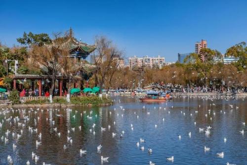 昆明旅游(昆明老街)插图26