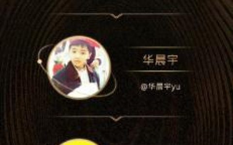 我是歌手排名前十(最厉害的歌手前十)