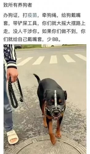 dnf动物套2021(dnf2021动物套多少钱)插图26